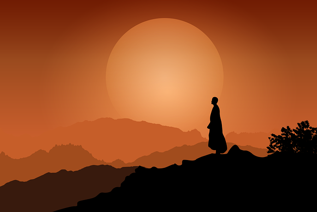 An animated picture with a black figure standing in the mountains, looking off to the horizon with the setting sun in the background.