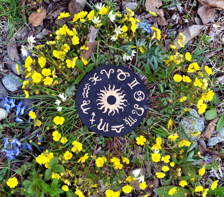 A black zodiac wheel with gold glyphs sits in the middle of yellow & blue flowers, green grass, and brown leaves.